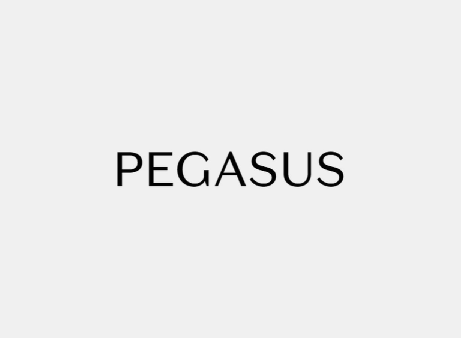 Pegasus