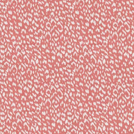 Coral - 05128 By Trend || Material World