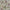 Breeze - Abbey By Maurice Kain || Material World