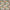 Papaya - Amelia By Prestigious Textiles || Material World