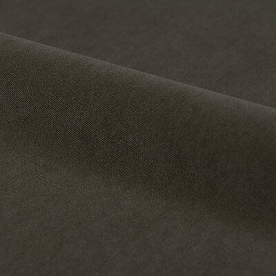 Moth - Archive By Textilia || Material World