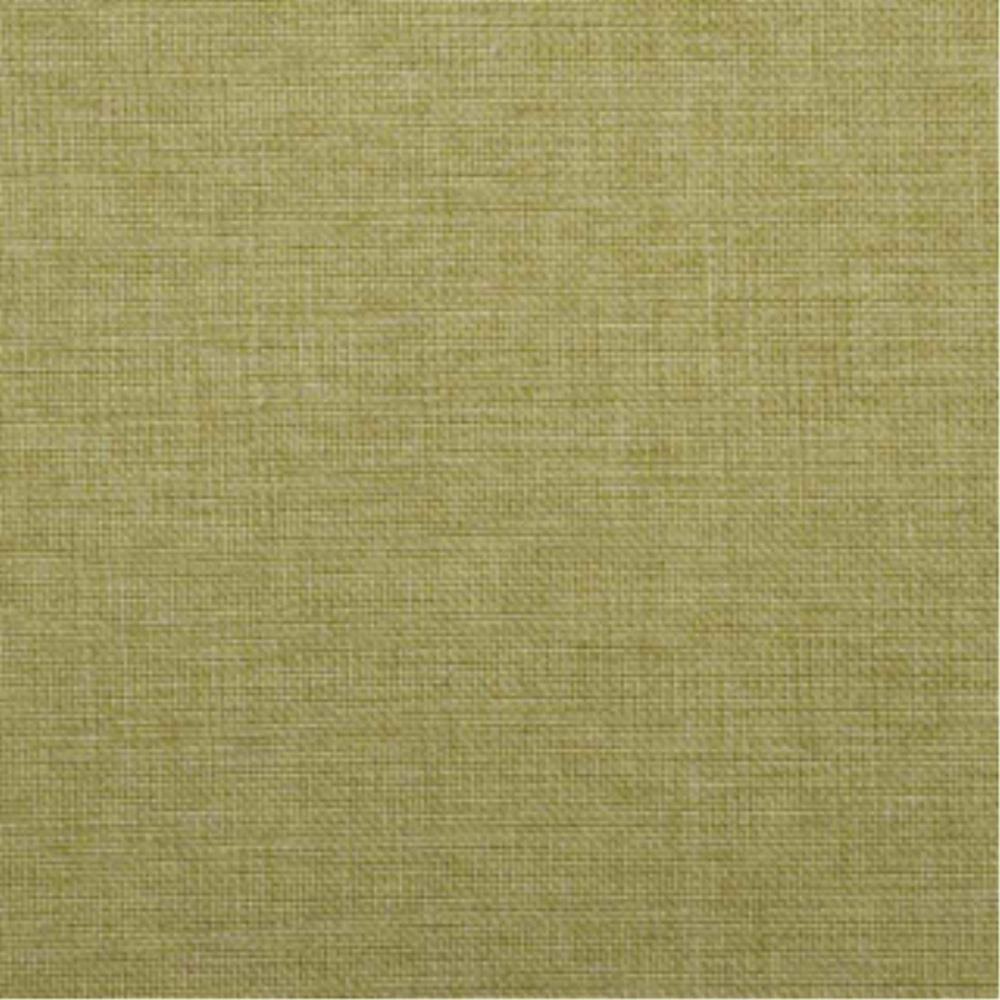 Kiwi - Beachcomber By Warwick || Material World