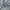 Pacific - Bellarine By Maurice Kain || Material World
