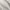 Dove - Broad Stripe By Zepel || Material World