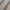 Navy - Broadhill By Charles Parsons Interiors || Material World