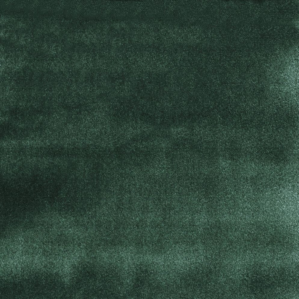 Forest - Casimir By Warwick || Material World