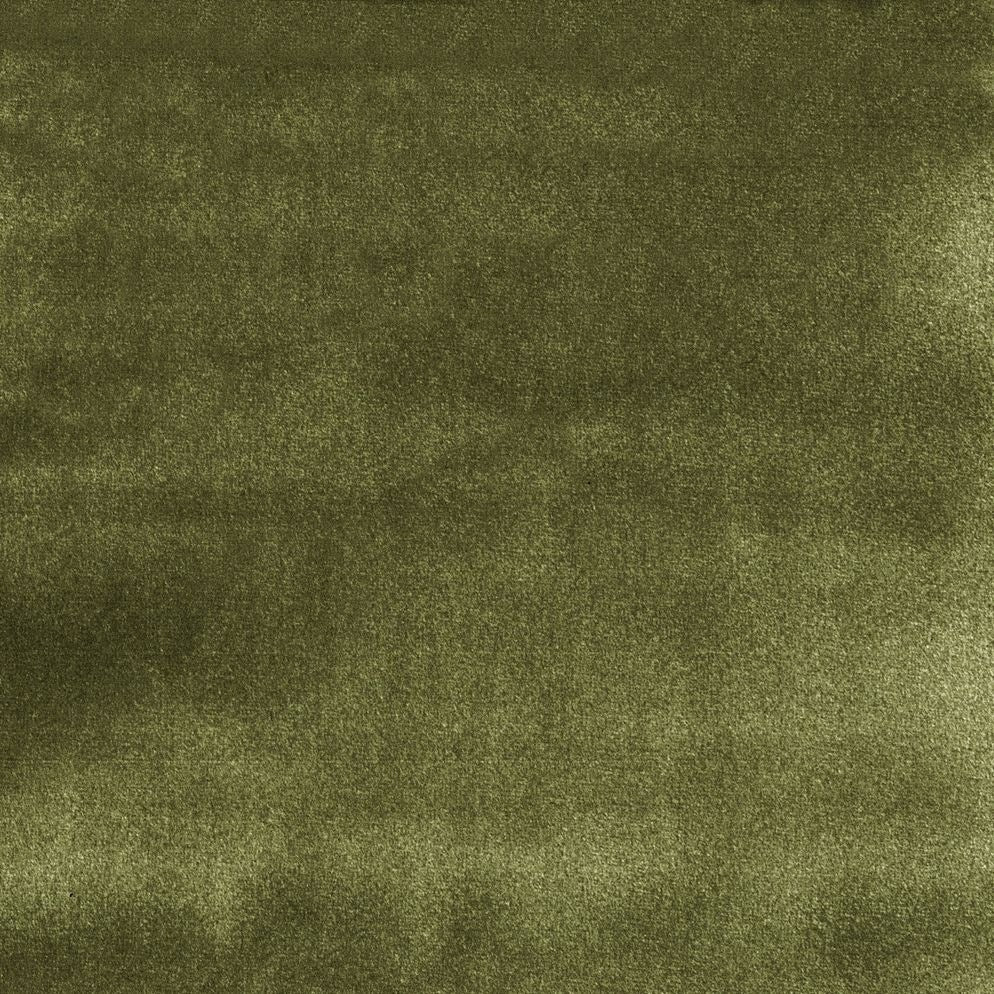 Olive - Casimir By Warwick || Material World