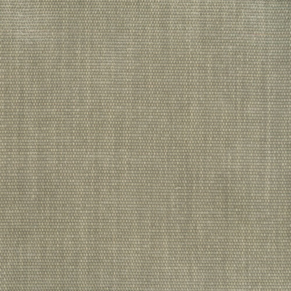 Birch - Copeland By Warwick || Material World