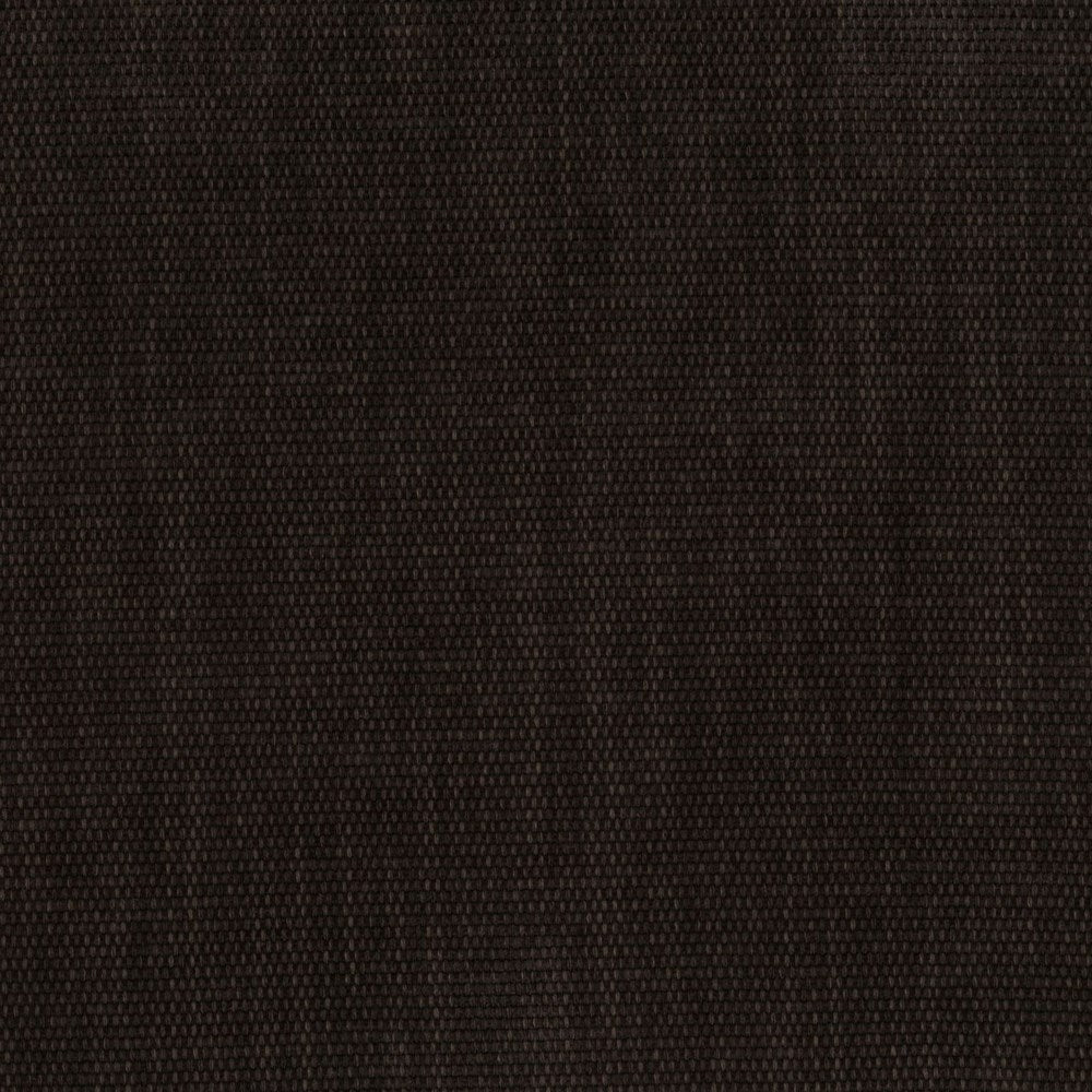 Raisin - Copeland By Warwick || Material World