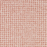 Coral - Magnetic By Warwick || Material World