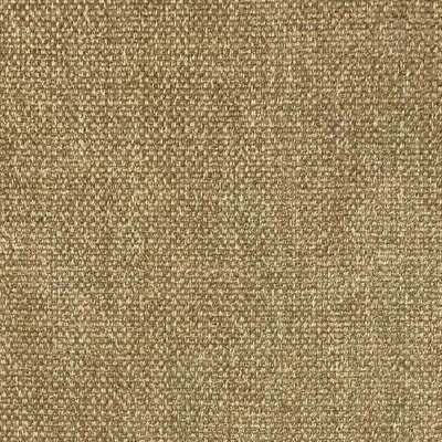 Cashew - Cosmopolitan By Textilia || Material World