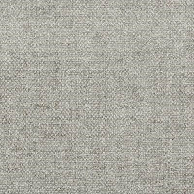 Oyster - Cosmopolitan By Textilia || Material World