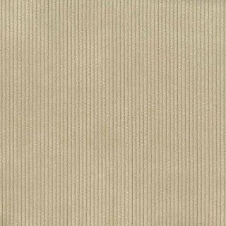 Bone - Cruze By Warwick || Material World