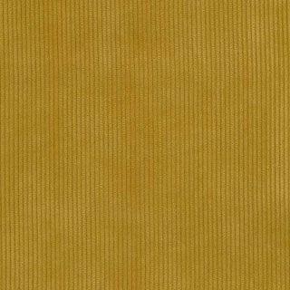 Mustard - Cruze By Warwick || Material World