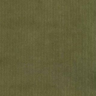 Olive - Cruze By Warwick || Material World