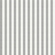 Ash - Derby By Warwick || Material World