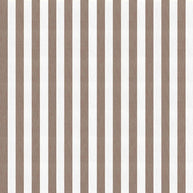 Clay - Derby By Warwick || Material World