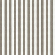 Natural - Derby By Warwick || Material World