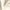 Cream - Duede By Zepel || Material World