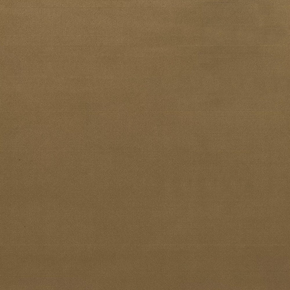 Camel - Duke By Warwick || Material World