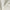 Bone - Feather Soft By Zepel || Material World