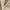 Clay - Feather Soft By Zepel || Material World