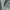 Cloud - Feather Soft By Zepel || Material World