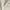 Dune - Feather Soft By Zepel || Material World