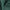 Forest - Feather Soft By Zepel || Material World