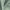 Linden - Feather Soft By Zepel || Material World
