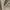 Linen - Feather Soft By Zepel || Material World