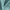 Pool - Feather Soft By Zepel || Material World