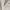 Sand - Feather Soft By Zepel || Material World