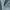 Sky - Feather Soft By Zepel || Material World