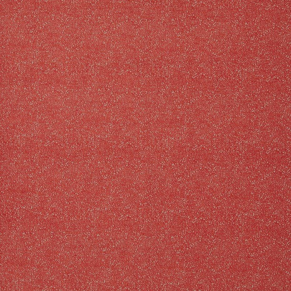 Coral - Frasier By Warwick || Material World