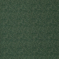 Jungle - Frasier By Warwick || Material World