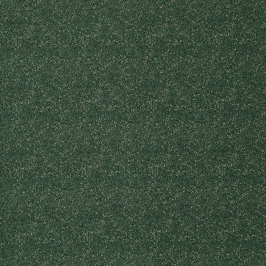 Jungle - Frasier By Warwick || Material World