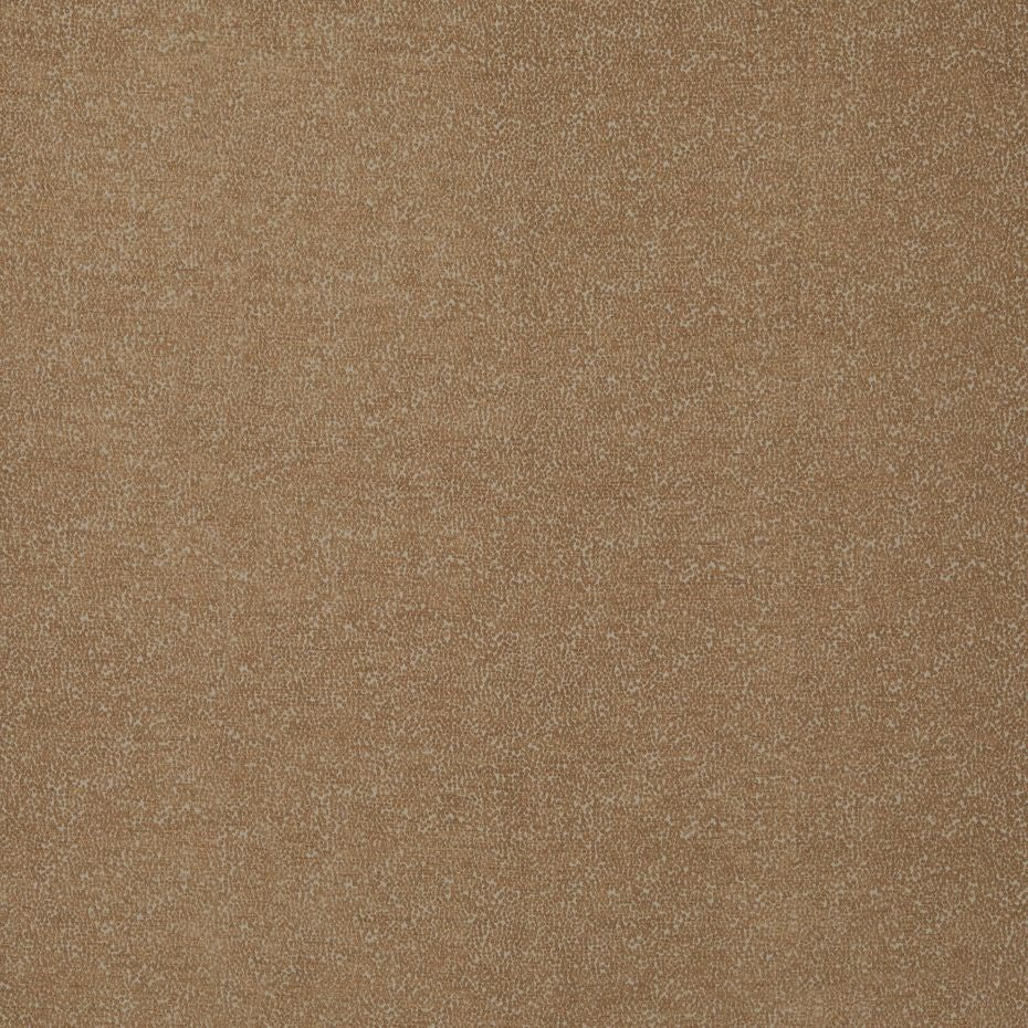 Porcini - Frasier By Warwick || Material World
