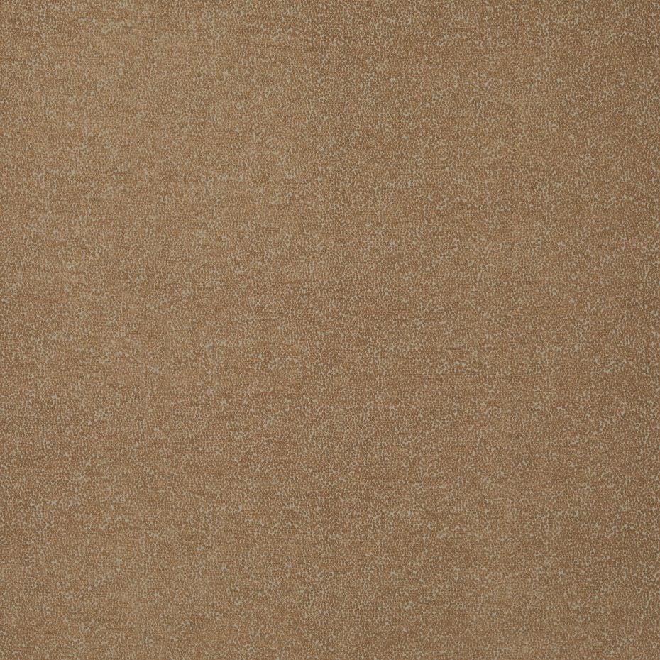 Porcini - Frasier By Warwick || Material World
