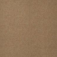 Porcini - Frasier By Warwick || Material World