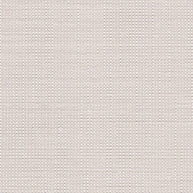 Buff - Gratitude By Wilson Fabrics || Material World
