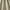 Thyme - Hudson By ILIV || Material World