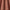 Pimento - Indo By ILIV || Material World