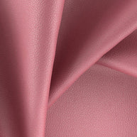 Blush - Integra By Zepel || Material World