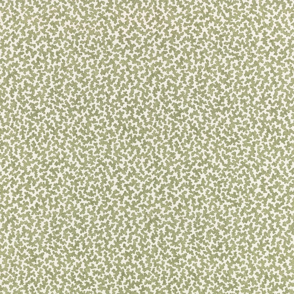 03 - Junie By Romo || Material World