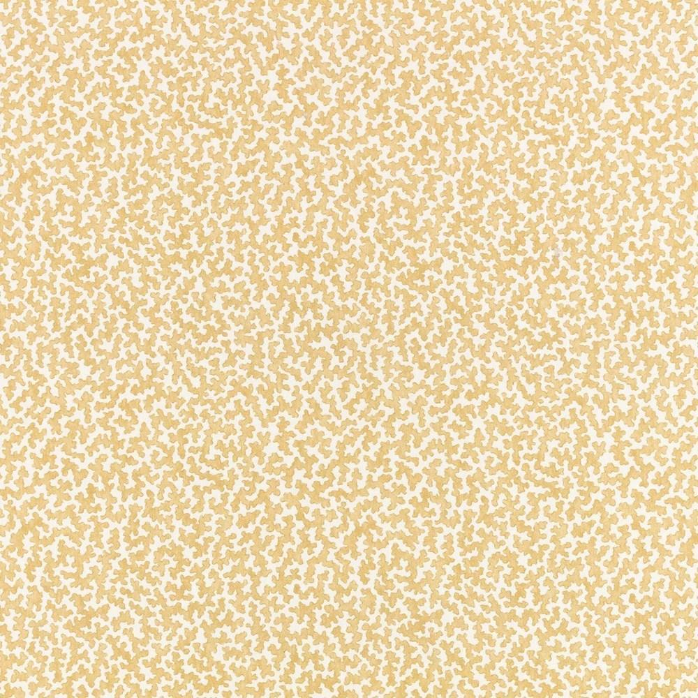 06 - Junie By Romo || Material World