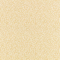 06 - Junie By Romo || Material World