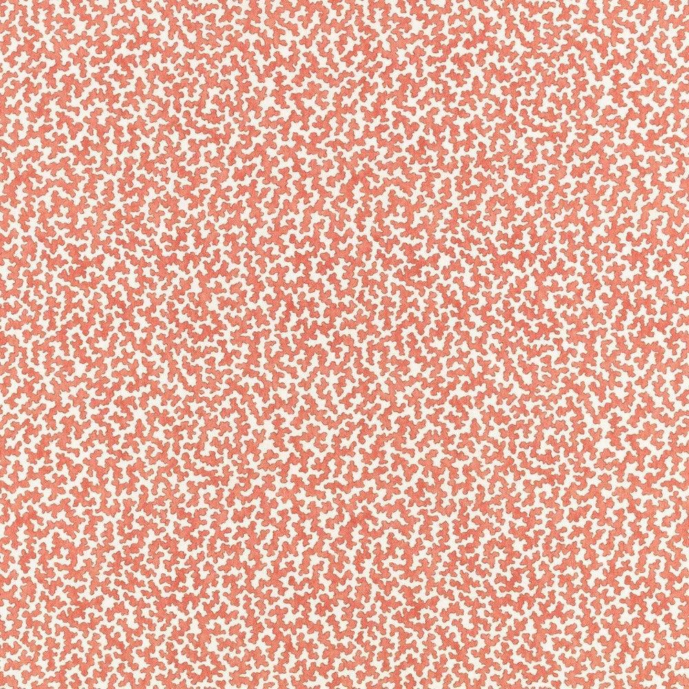 07 - Junie By Romo || Material World