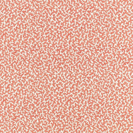 07 - Junie By Romo || Material World