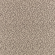 08 - Junie By Romo || Material World